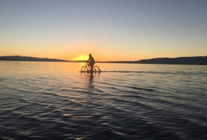Come Follow Me! CyranoWriter wordpress blog is moving! Bike riding in Utah Lake